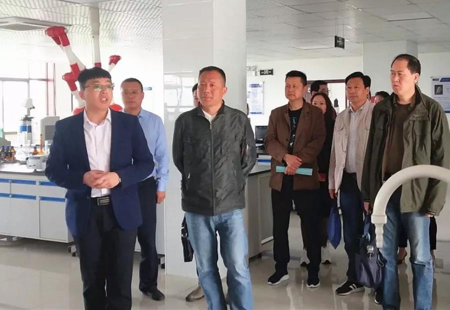 雨山區(qū)人大常委會調研組赴馬鞍山公司調研——共促金雪馳科技成果轉化