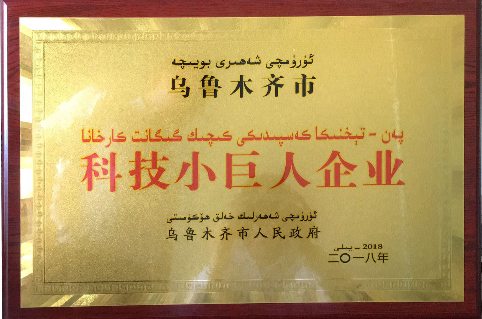 金雪馳榮獲烏魯木齊市首批“科技小巨人”和 “專精特新”企業(yè)榮譽(yù)稱號